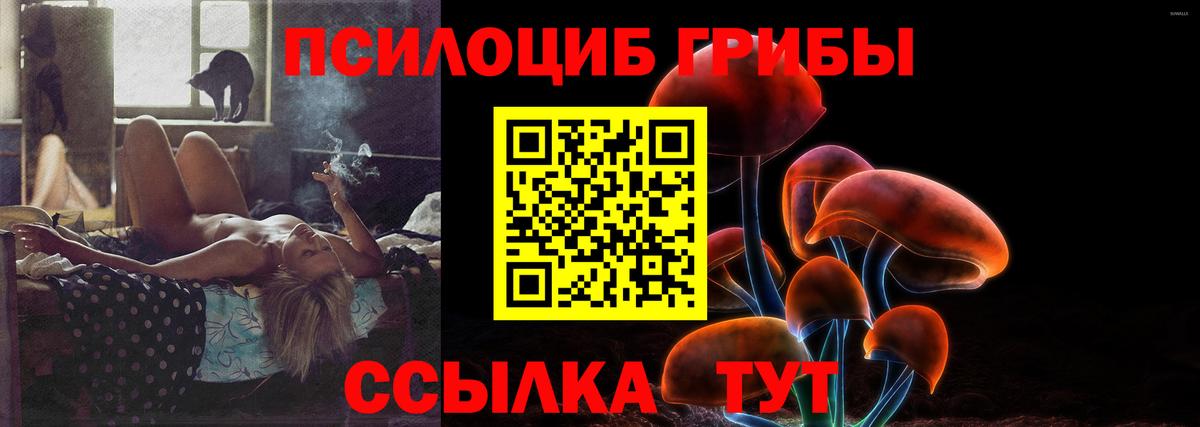 Галлюциногенные грибы Cubensis Уссурийск